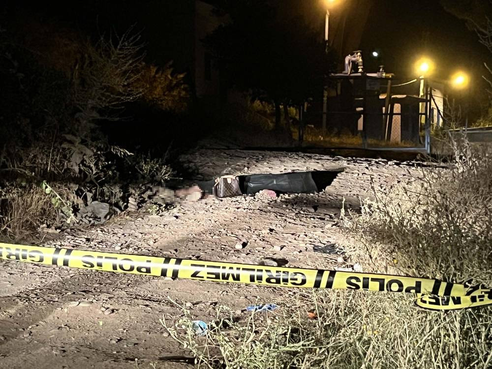 Genç kız ormanda ölü bulunmuştu: Çelişkili ifadeleri korkunç cinayeti ele verecek mi?