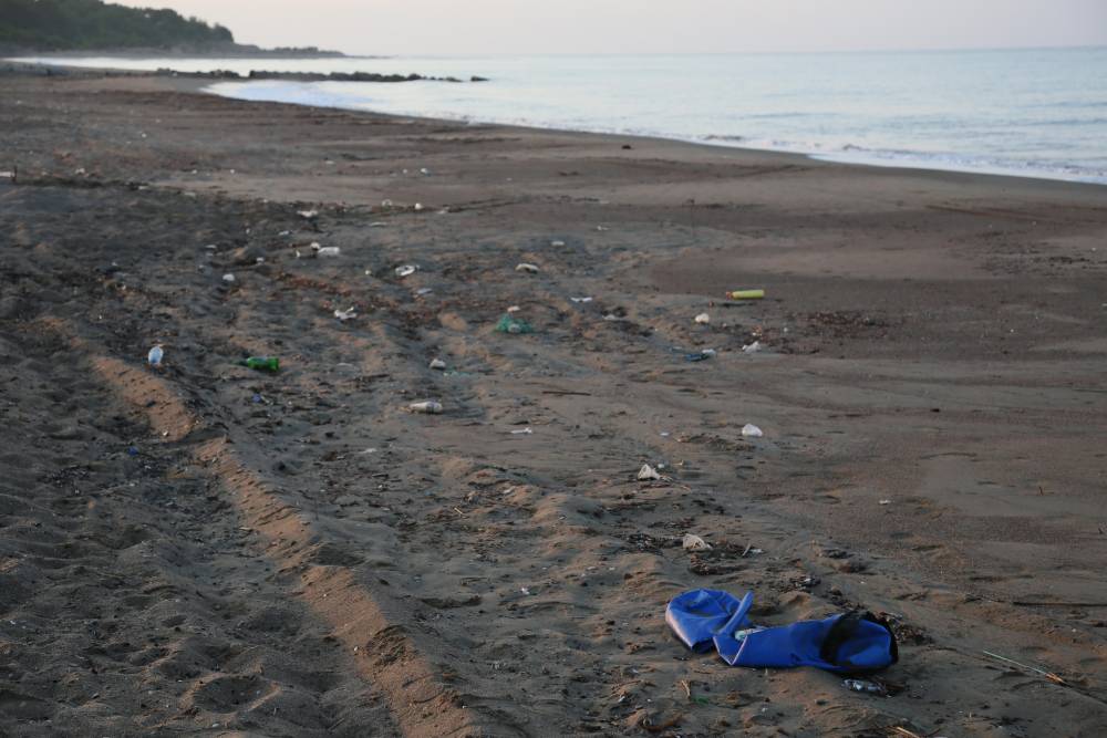 Caretta yuvalarında turizm skandalı! Para karşılığında sergiliyorlar