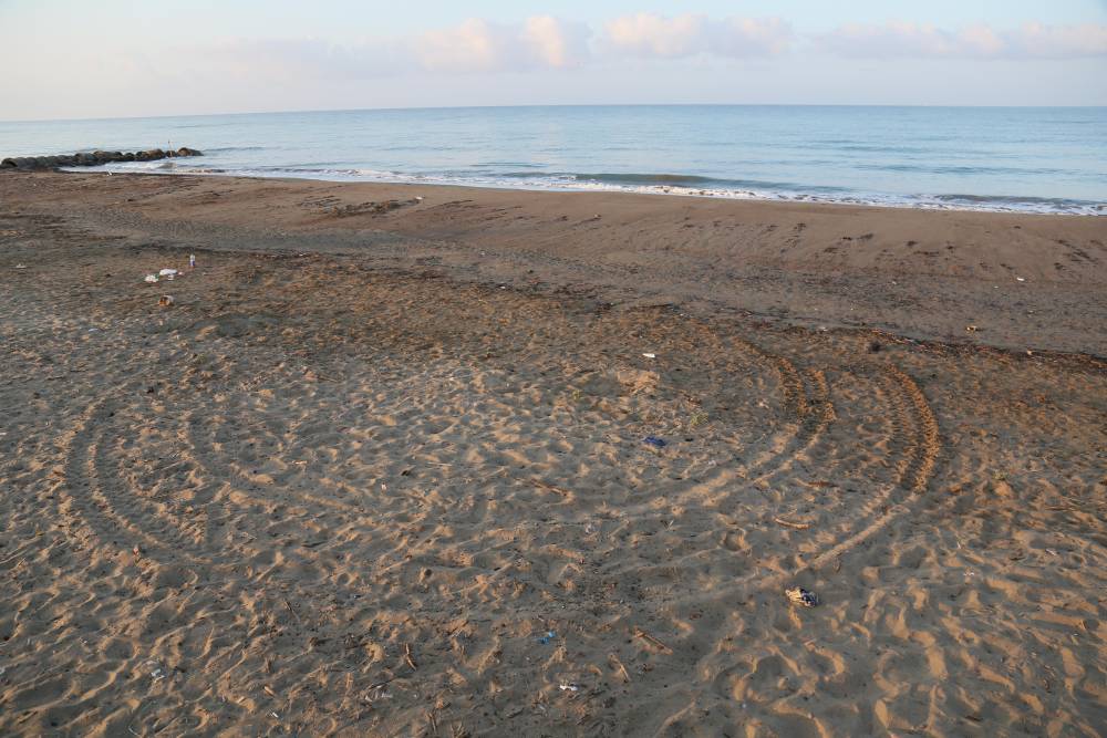 Caretta yuvalarında turizm skandalı! Para karşılığında sergiliyorlar