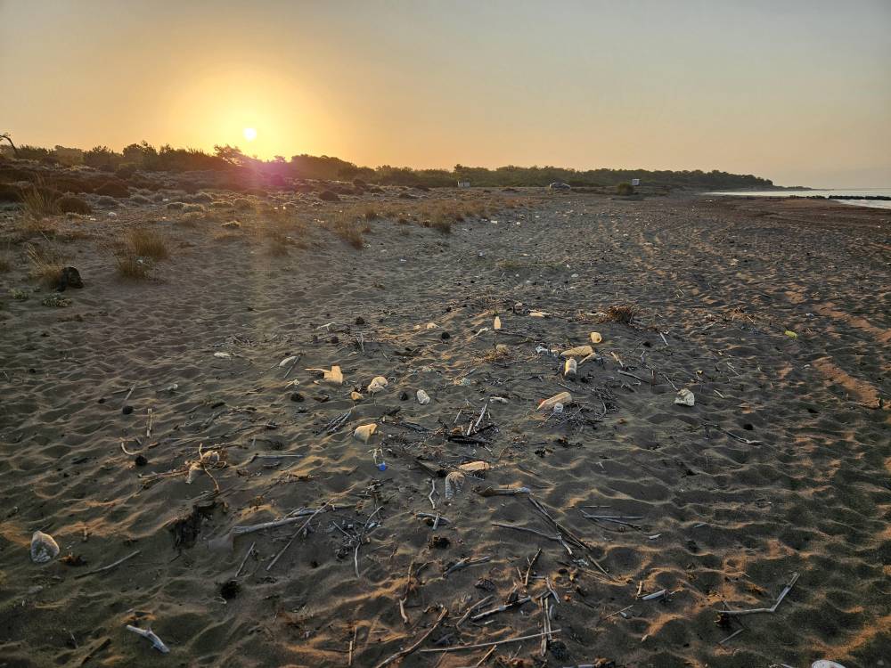 Caretta yuvalarında turizm skandalı! Para karşılığında sergiliyorlar