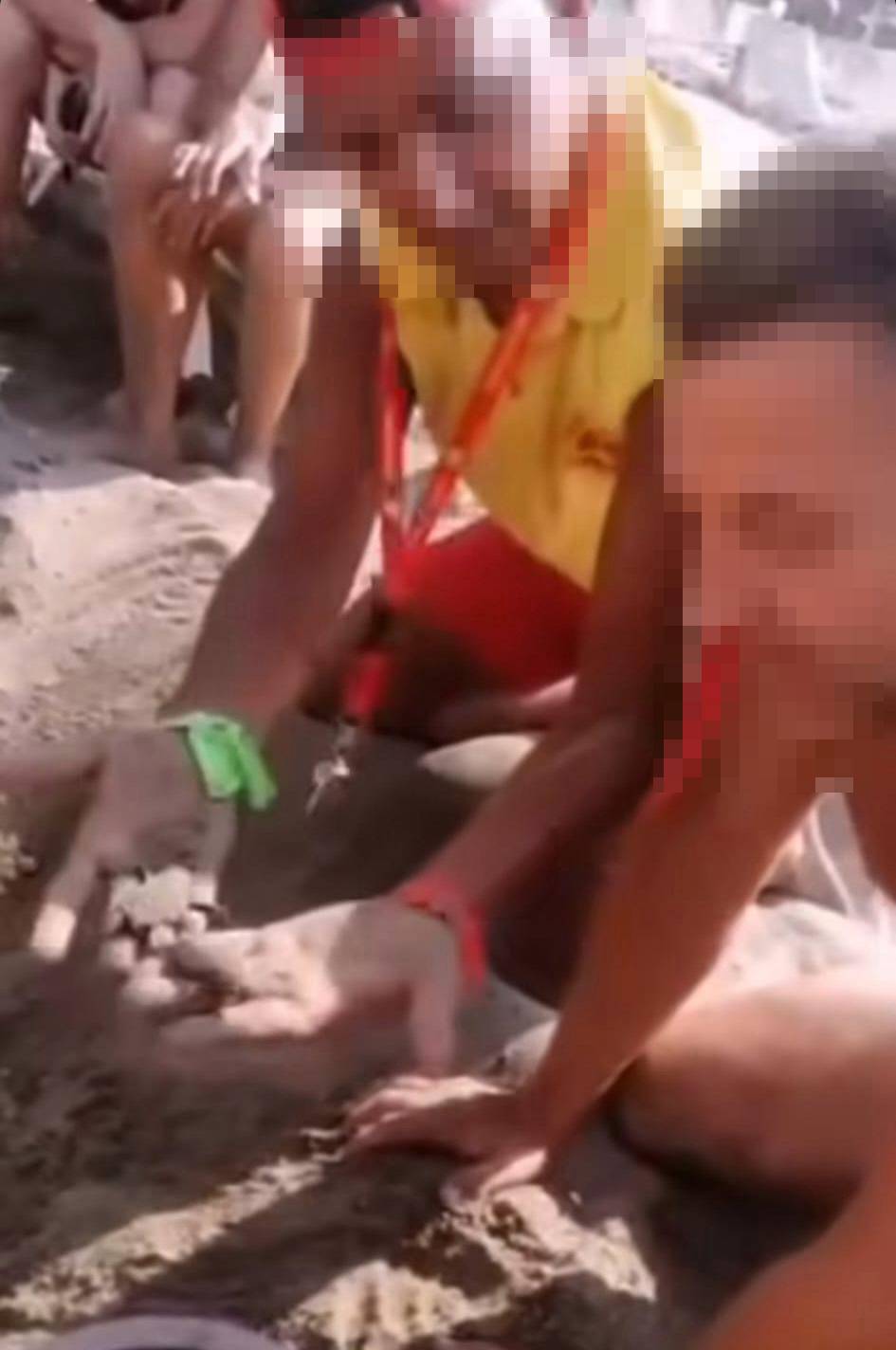 Caretta yuvalarında turizm skandalı! Para karşılığında sergiliyorlar