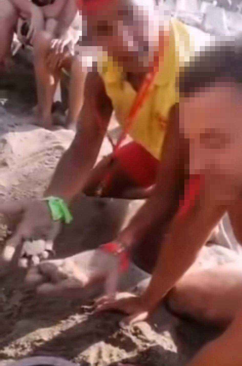 Caretta yuvalarında turizm skandalı! Para karşılığında sergiliyorlar