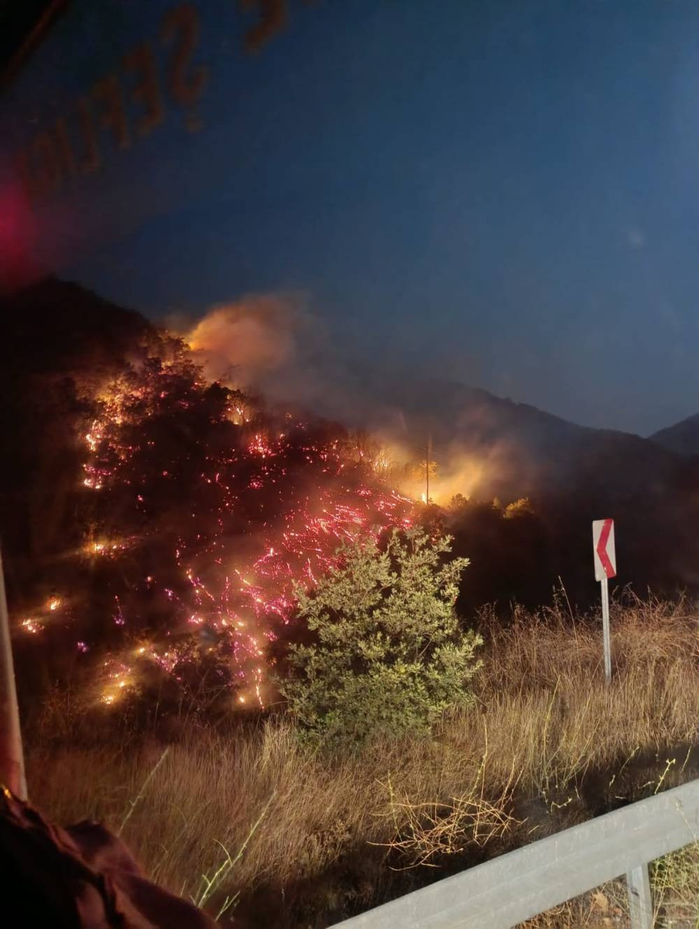 Aydın orman yangını büyümeden kontrol altına alındı