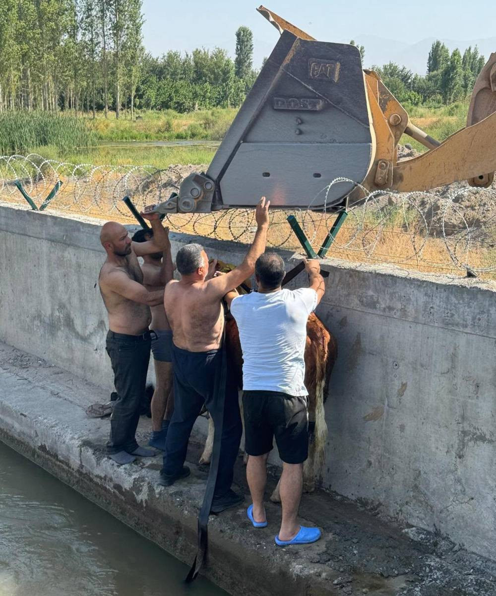 Dana kurtarma operasyonu