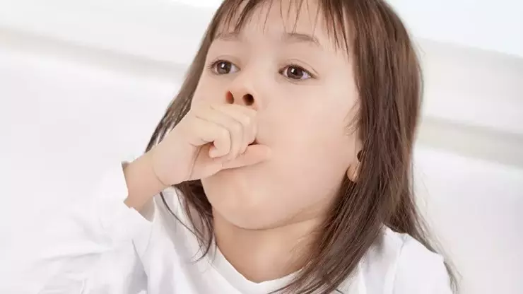 5d9b0835214ed8198c8557a8.webp