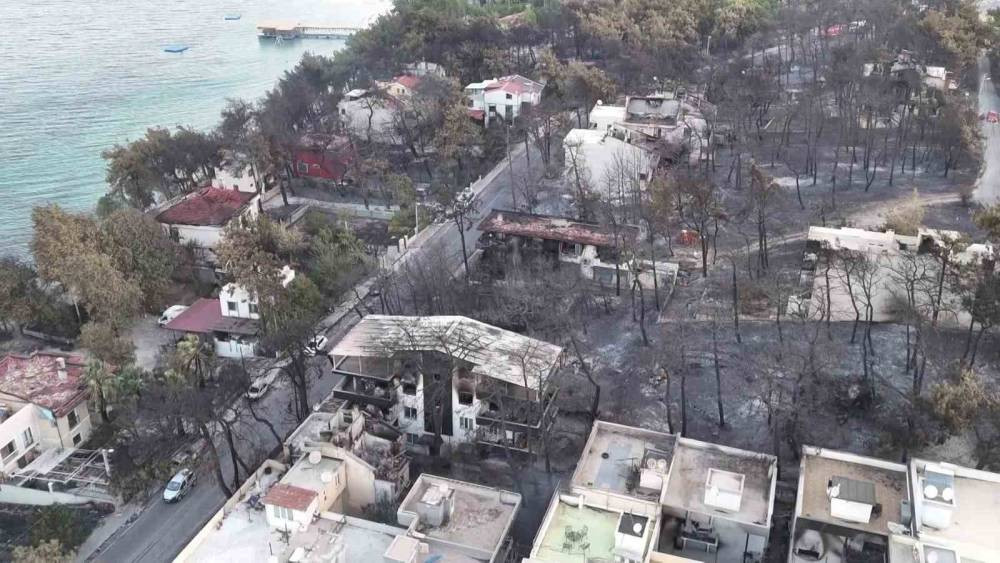 Çanakkale yangınının acı bilançosu ortaya çıktı!