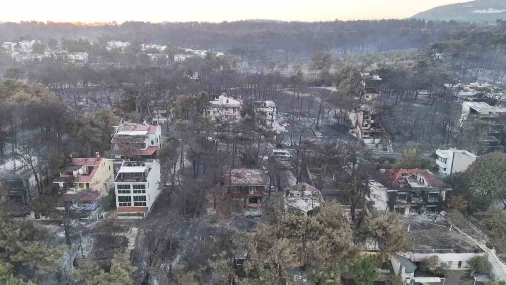 Çanakkale yangınının acı bilançosu ortaya çıktı!