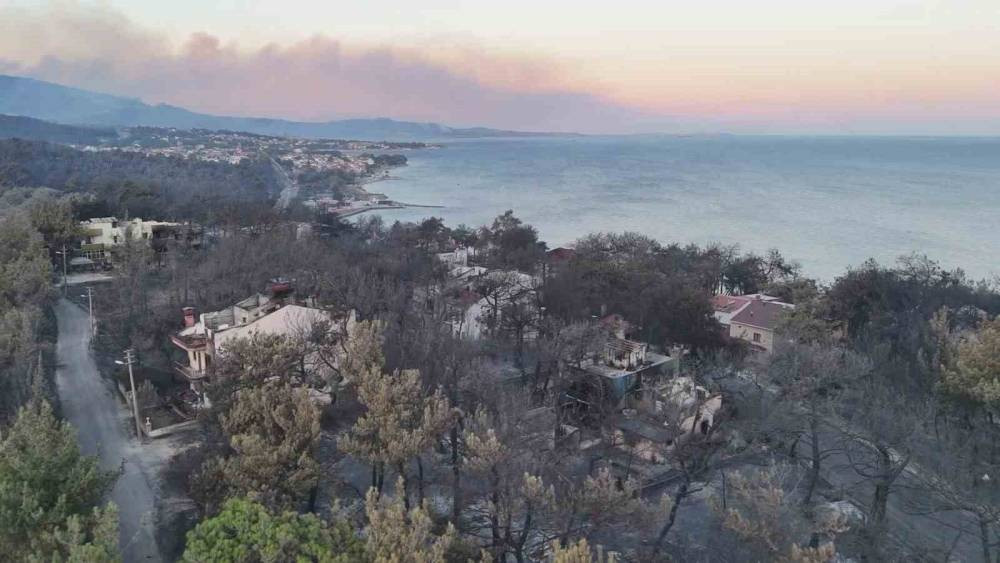 Çanakkale yangınının acı bilançosu ortaya çıktı!