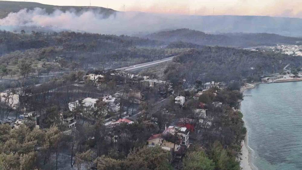 Çanakkale yangınının acı bilançosu ortaya çıktı!