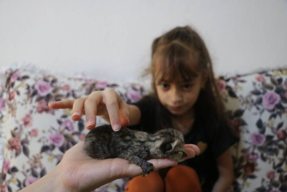 Vicdanların çığır ettiği nokta... Adres farklı, vahşet aynı!