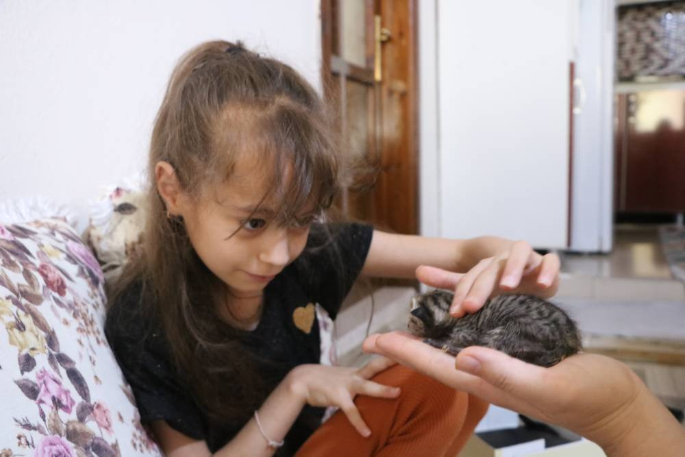 Vicdanların çığır ettiği nokta... Adres farklı, vahşet aynı!