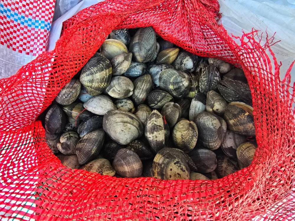 Jandarmadan şok operasyon! Aracın kapısını açınca şok oldular