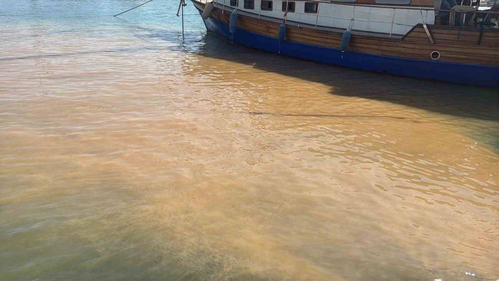 Bodrum’da patlayan boru esnafı vurdu