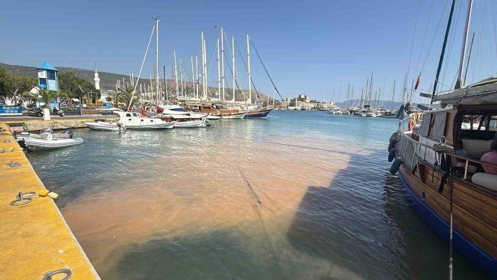 Bodrum’da patlayan boru esnafı vurdu