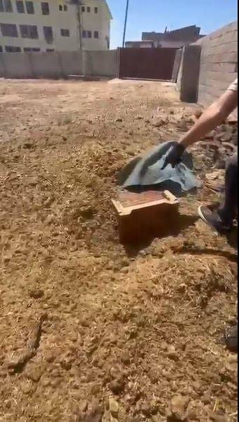 Jandarma gübre altında servet buldu! Hırsızlar tanıdık çıktı