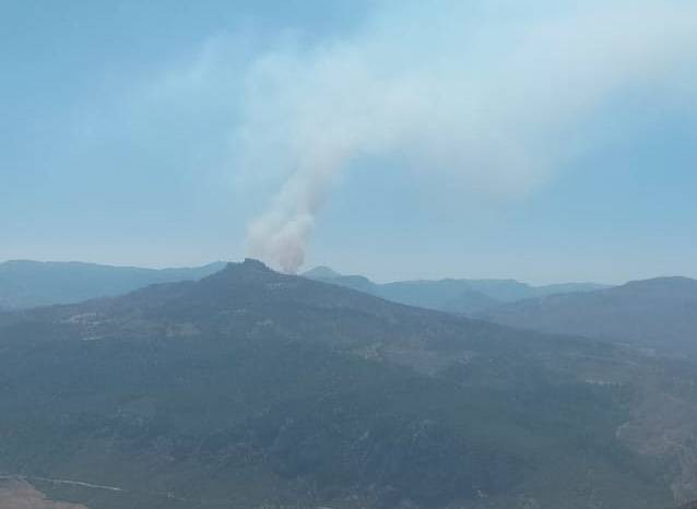 Ermenek’te orman yangını: Ekipler ve köylüler el ele!