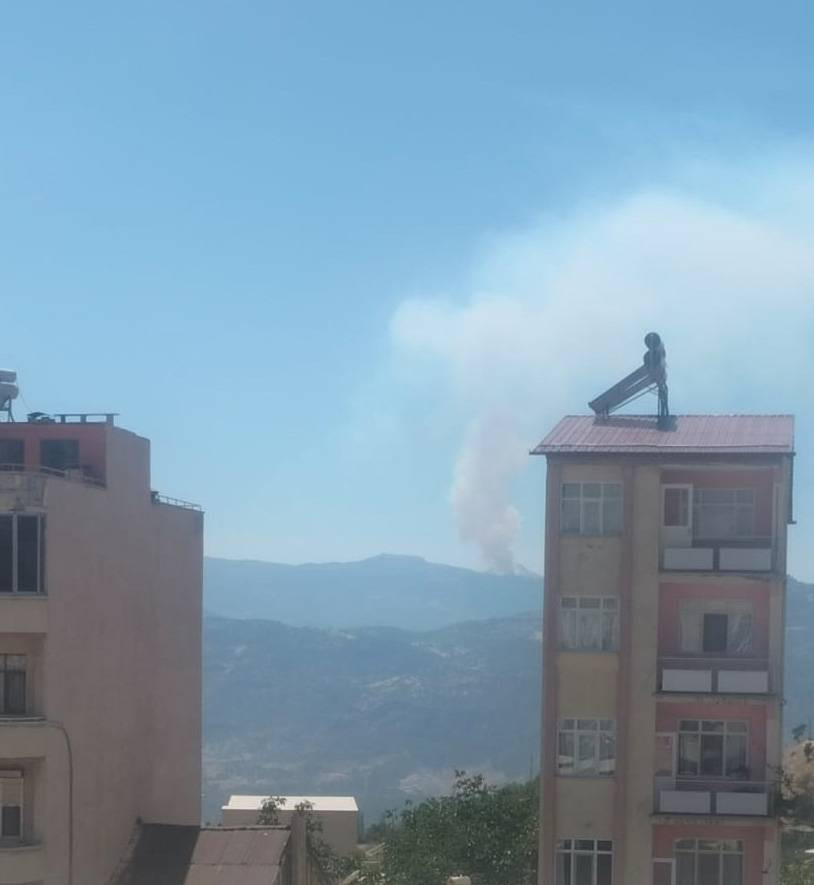 Ermenek’te orman yangını: Ekipler ve köylüler el ele!