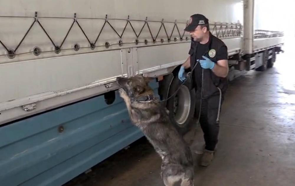 Kaçarken yakalandı! Kapıkule’de dev operasyon