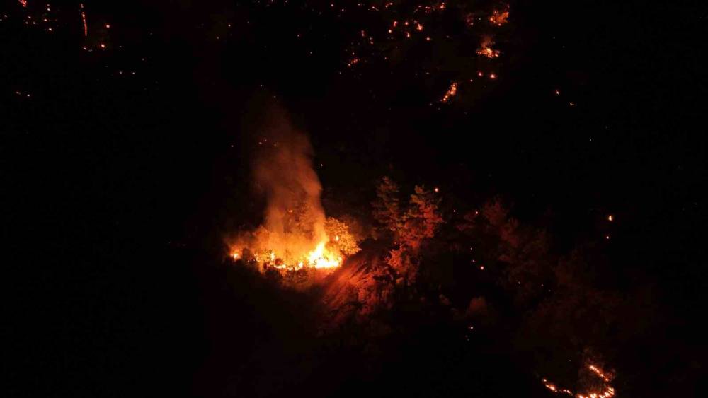 Çanakkale’deki orman yangını kontrol altında