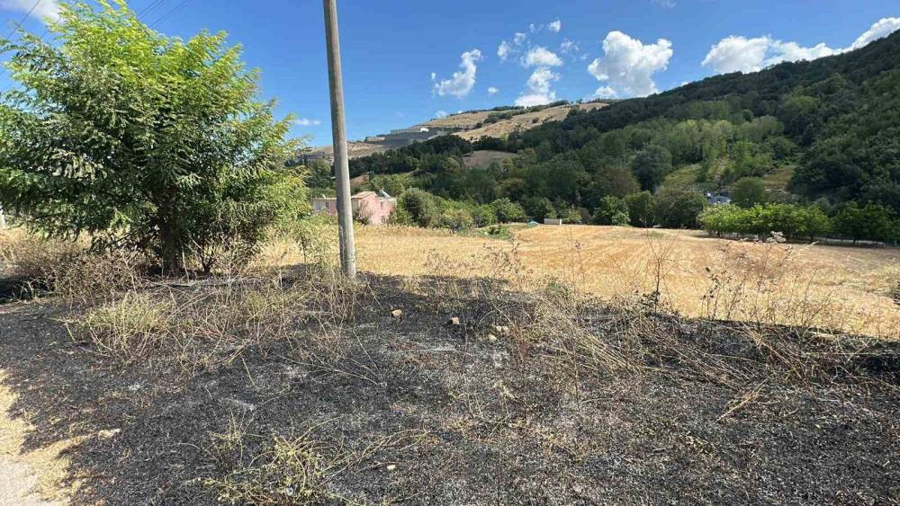 Samsun'da çalılık alandaki yangın ormana sıçramadan söndürüldü