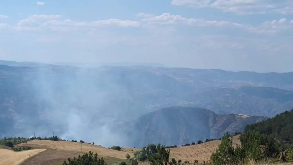Çorum'da orman yangını!
