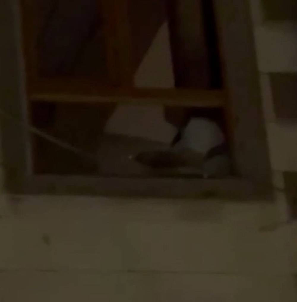 İstanbul’da korku dolu anlar! Cami kapısını taşla kırdı: Mahalleyi ayağa kaldırdı