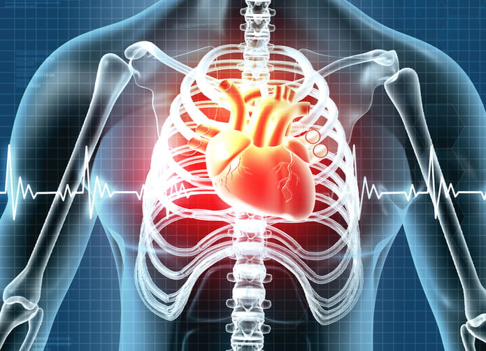 3d-graphic-showing-a-heart-inside-001.jpg