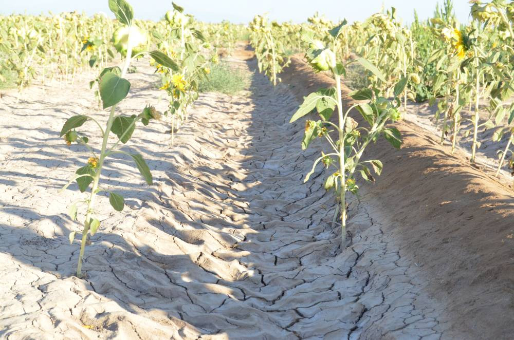 Türkiye’de eşi benzeri yok! Yeraltını oyup günyüzüne çıkıyor: Esrarengiz şekilde yok oluyor