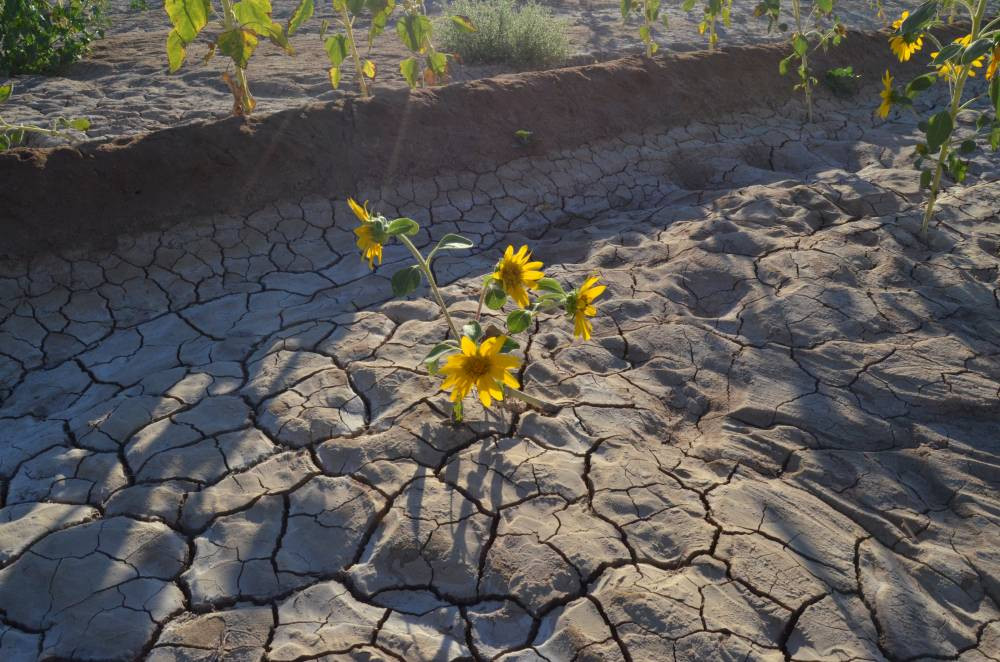 Türkiye’de eşi benzeri yok! Yeraltını oyup günyüzüne çıkıyor: Esrarengiz şekilde yok oluyor
