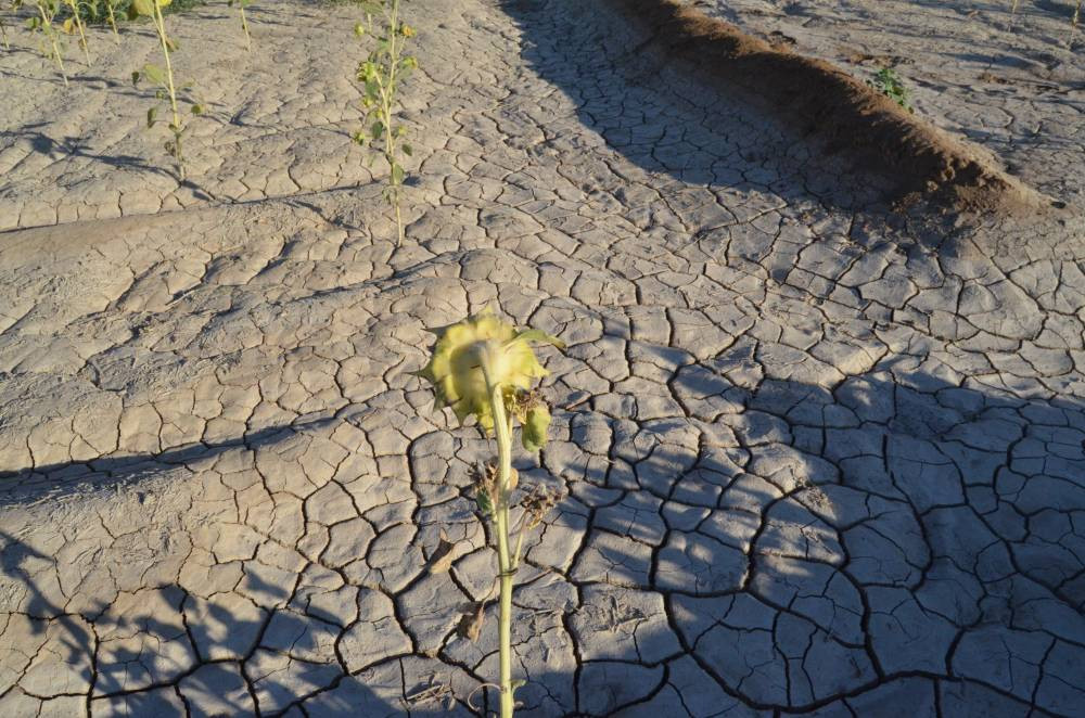 Türkiye’de eşi benzeri yok! Yeraltını oyup günyüzüne çıkıyor: Esrarengiz şekilde yok oluyor