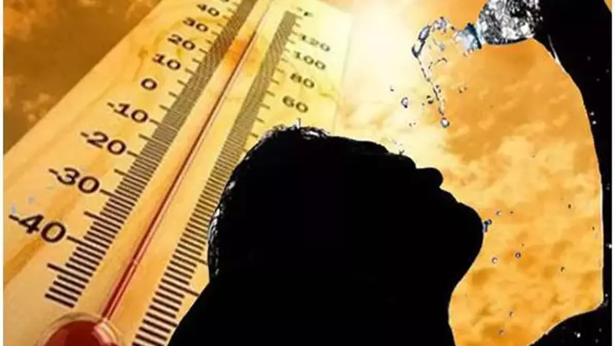 60c6f88d9321513c185c2677.webp