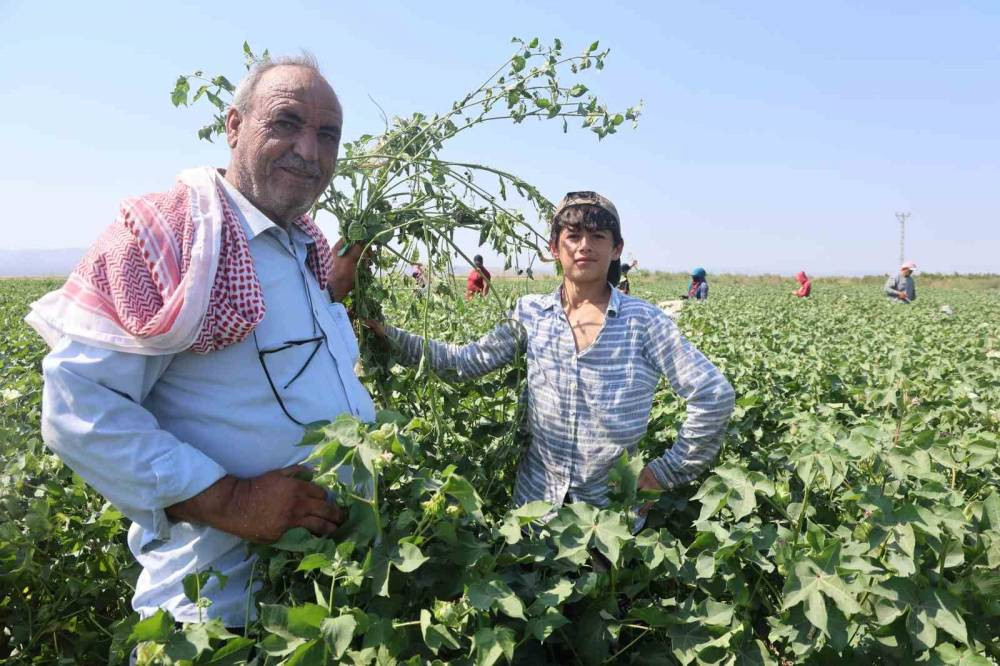 45 derecede ekmek kavgası: Güneşe meydan okuyorlar!