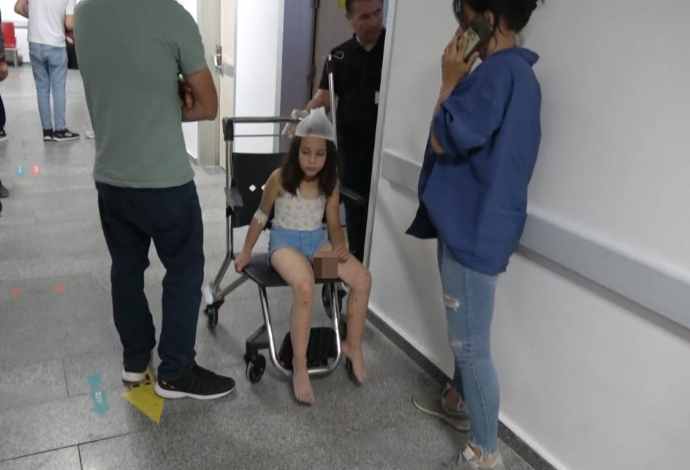 Aksaray’da çoban köpeği dehşeti! Küçük kız hastanelik oldu!