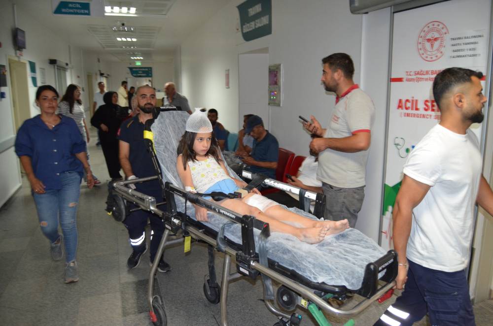 Aksaray’da çoban köpeği dehşeti! Küçük kız hastanelik oldu!