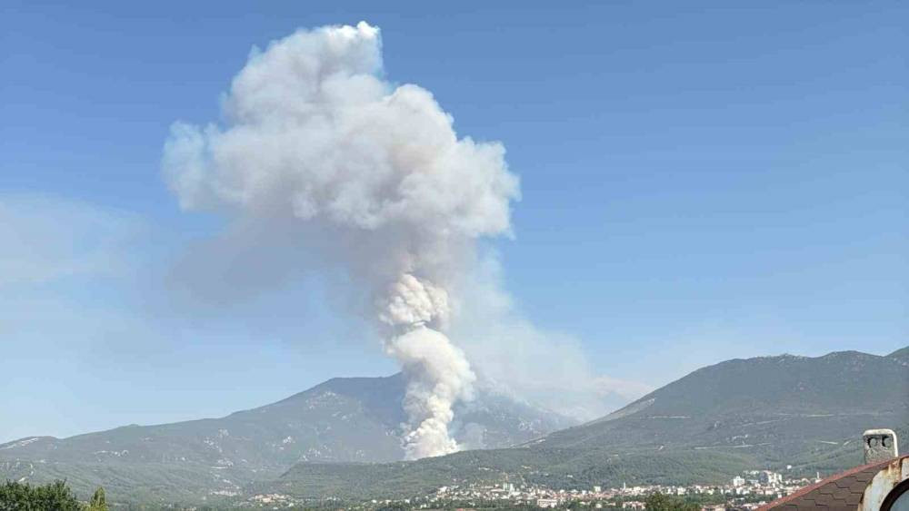 Denizli’de orman yangını