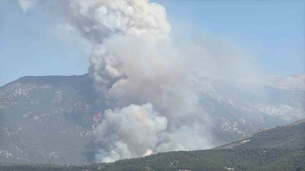 Denizli’de orman yangını