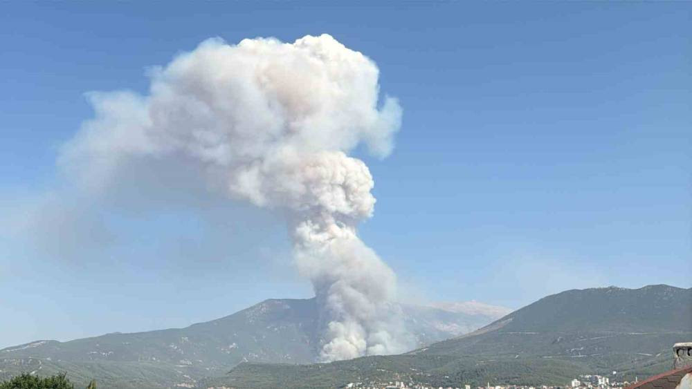 Denizli’de orman yangını