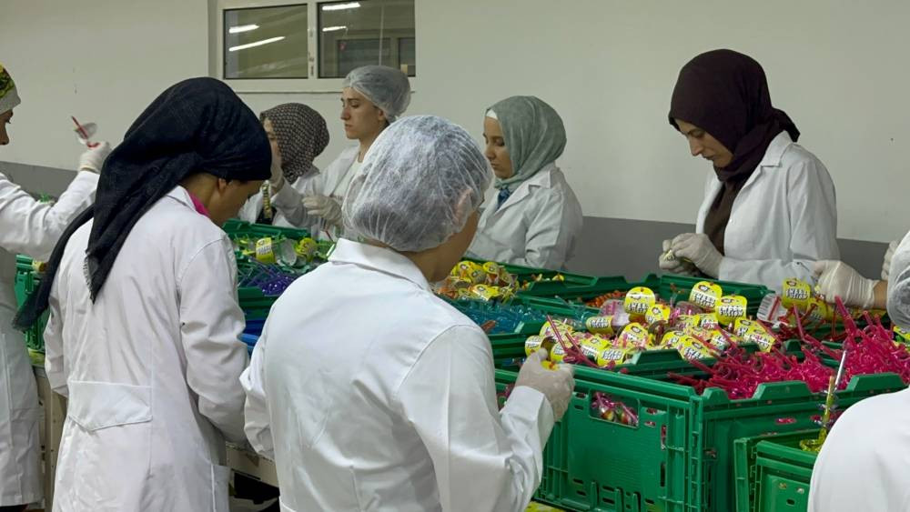 Türkiye’de bir ilk! Şeffaf gıda için ilk adım: Bildiklerinizi unutun