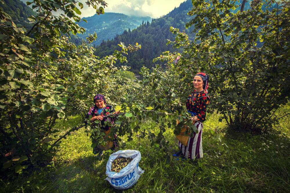 Hasadında gizli tehlike! Uzman Uyardı: Sezonu risk taşıyor