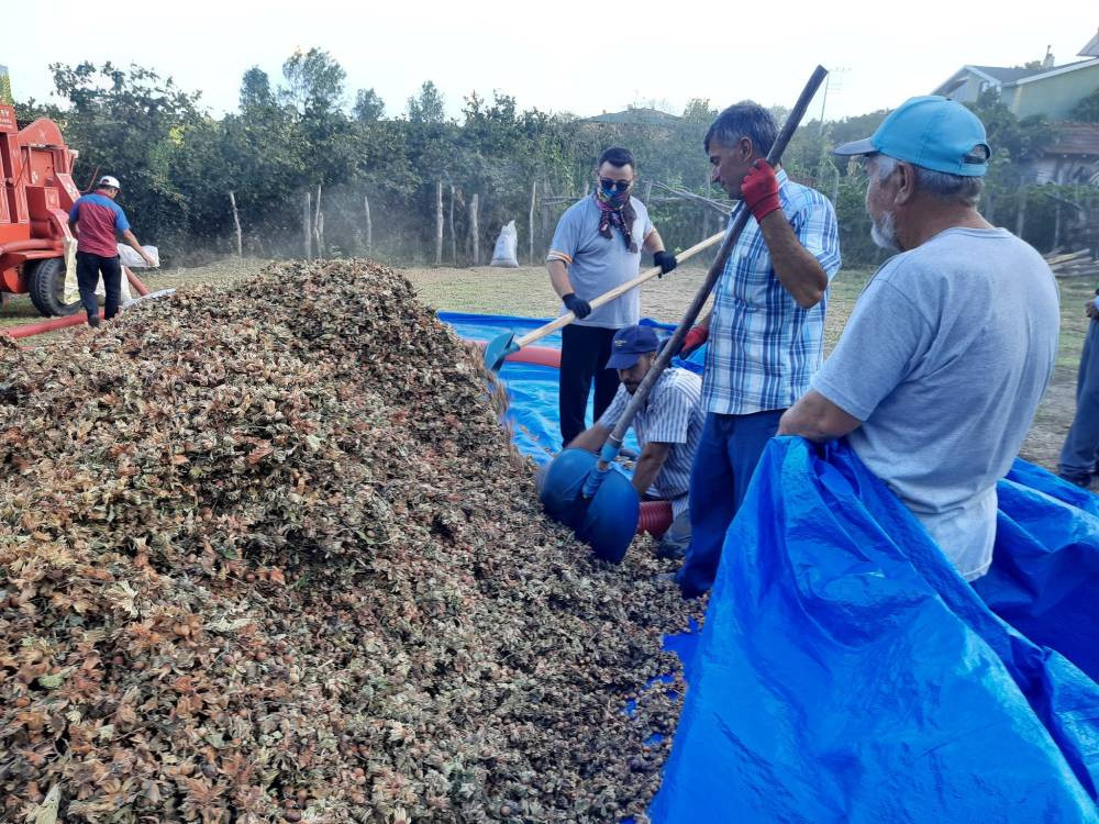 Hasadında gizli tehlike! Uzman Uyardı: Sezonu risk taşıyor