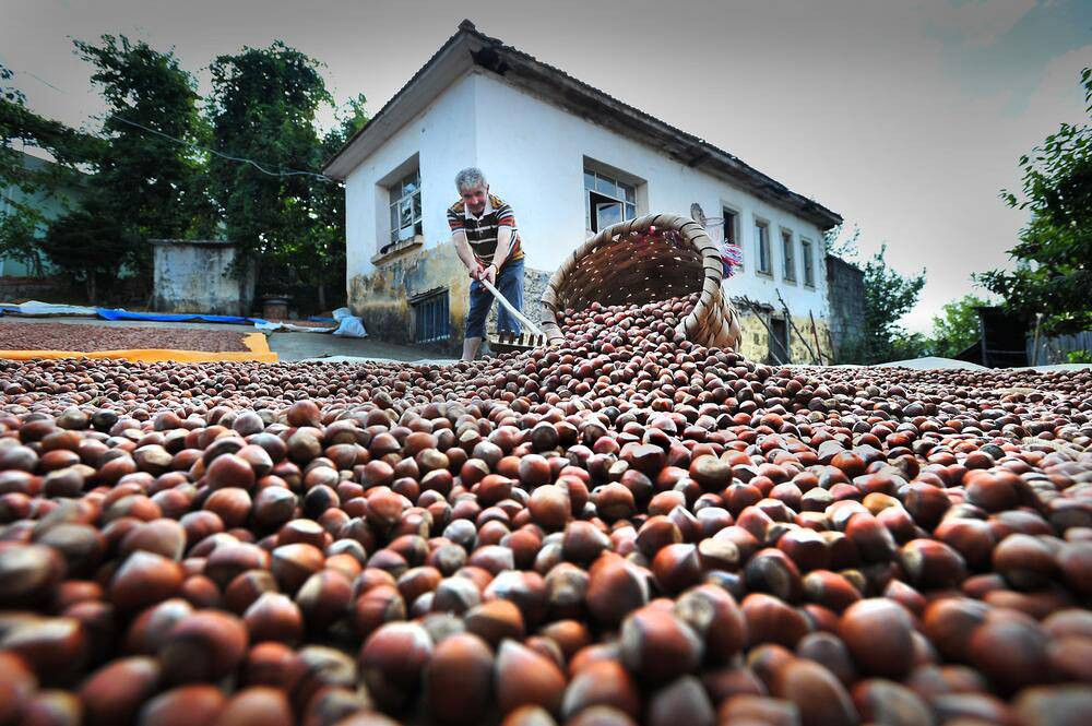 Hasadında gizli tehlike! Uzman Uyardı: Sezonu risk taşıyor