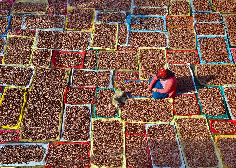 Hasadında gizli tehlike! Uzman Uyardı: Sezonu risk taşıyor