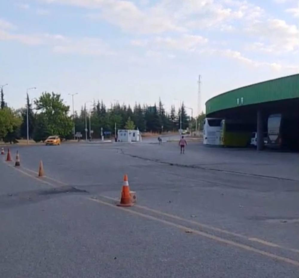 Marketten çanta, otobüsten yastık! Eşeğin hedefi net: Otogar esnafı alarma geçti