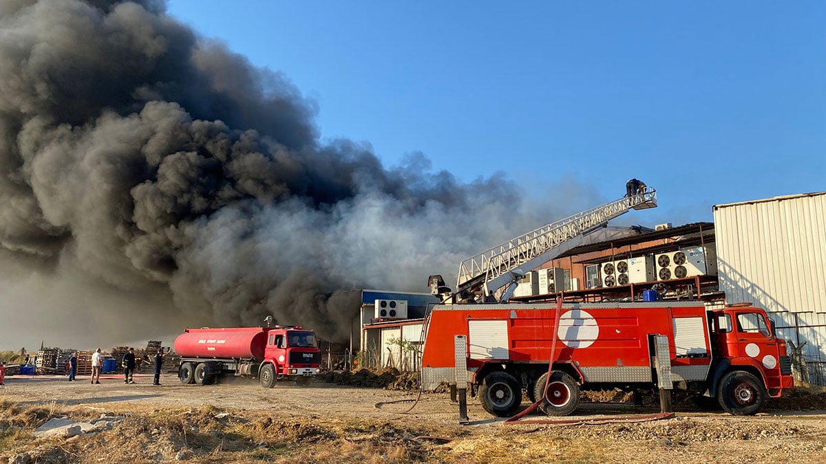 1kapak-001.jpg
