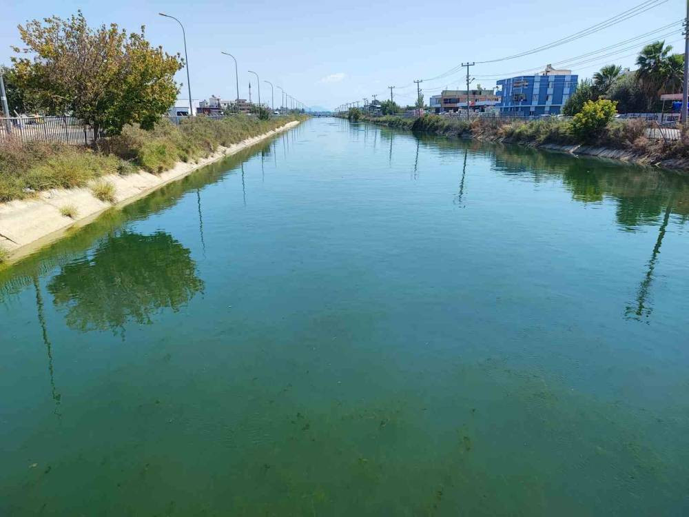 Cep telefonunu kurtarmak isterken hayatını kaybetti