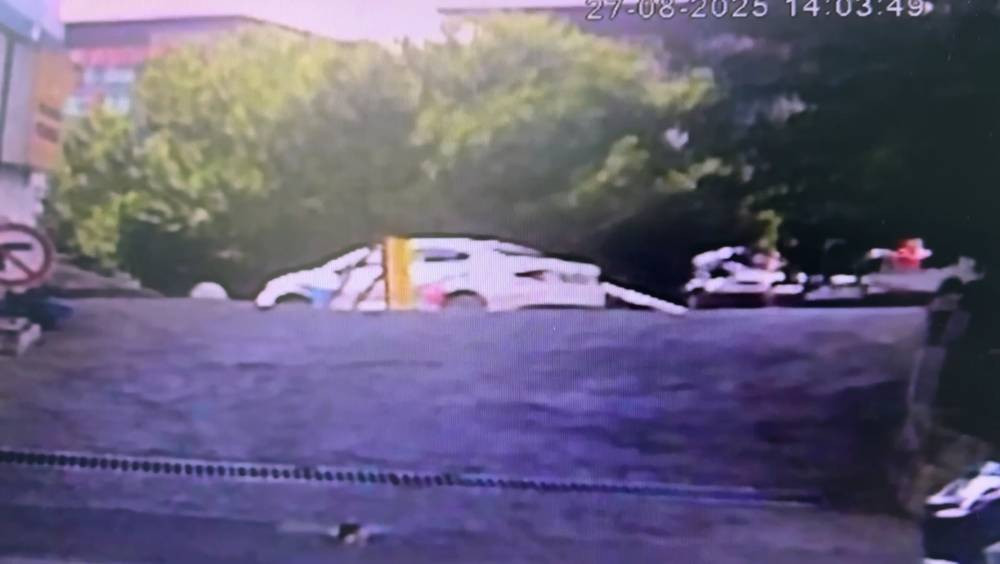 İstanbul göbeğinde yaşandı! Fren yerine gaza bastı: Kadın sürücü ağaçlık alana uçtu