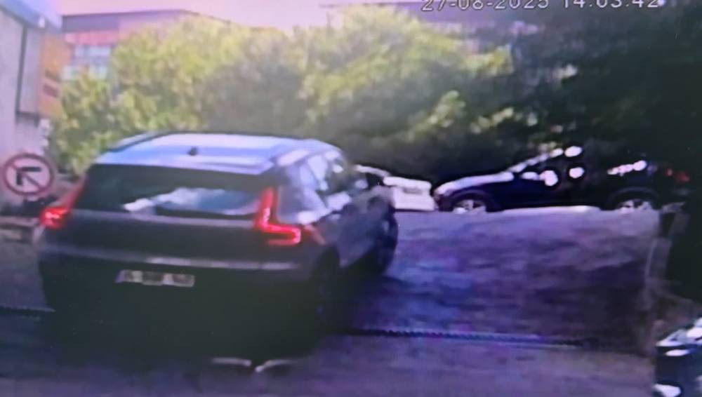 İstanbul göbeğinde yaşandı! Fren yerine gaza bastı: Kadın sürücü ağaçlık alana uçtu