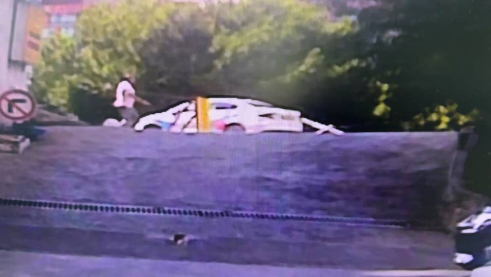 İstanbul göbeğinde yaşandı! Fren yerine gaza bastı: Kadın sürücü ağaçlık alana uçtu