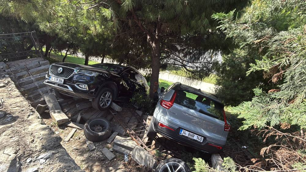 İstanbul göbeğinde yaşandı! Fren yerine gaza bastı: Kadın sürücü ağaçlık alana uçtu