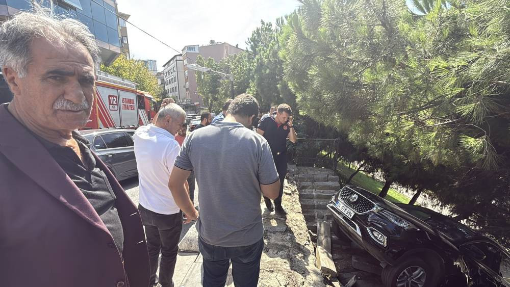 İstanbul göbeğinde yaşandı! Fren yerine gaza bastı: Kadın sürücü ağaçlık alana uçtu